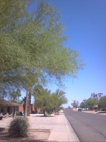  in Casa Grande